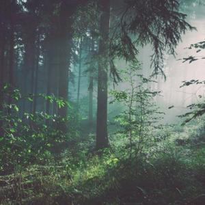 videos❌❌❌free夫妇
